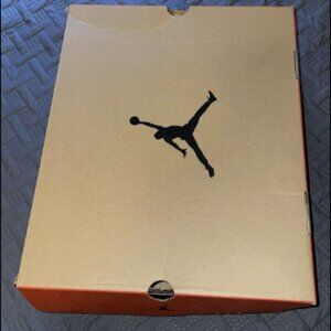 Air Jordan 12 retro Stealth SIZE 11